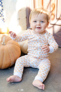 LH25 Harvest Pumpkin Parker Zippy