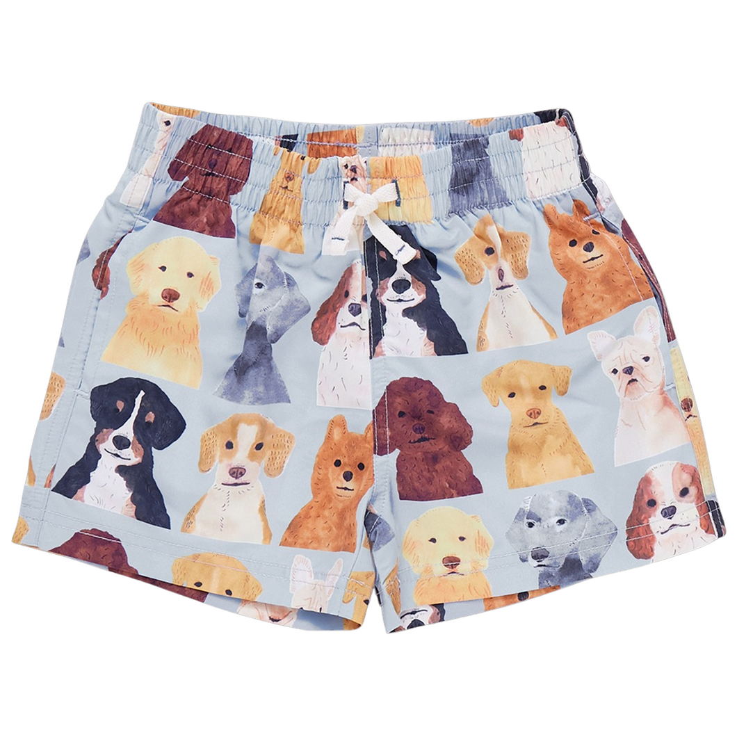 PC25 Watercolor Dogs Trunks