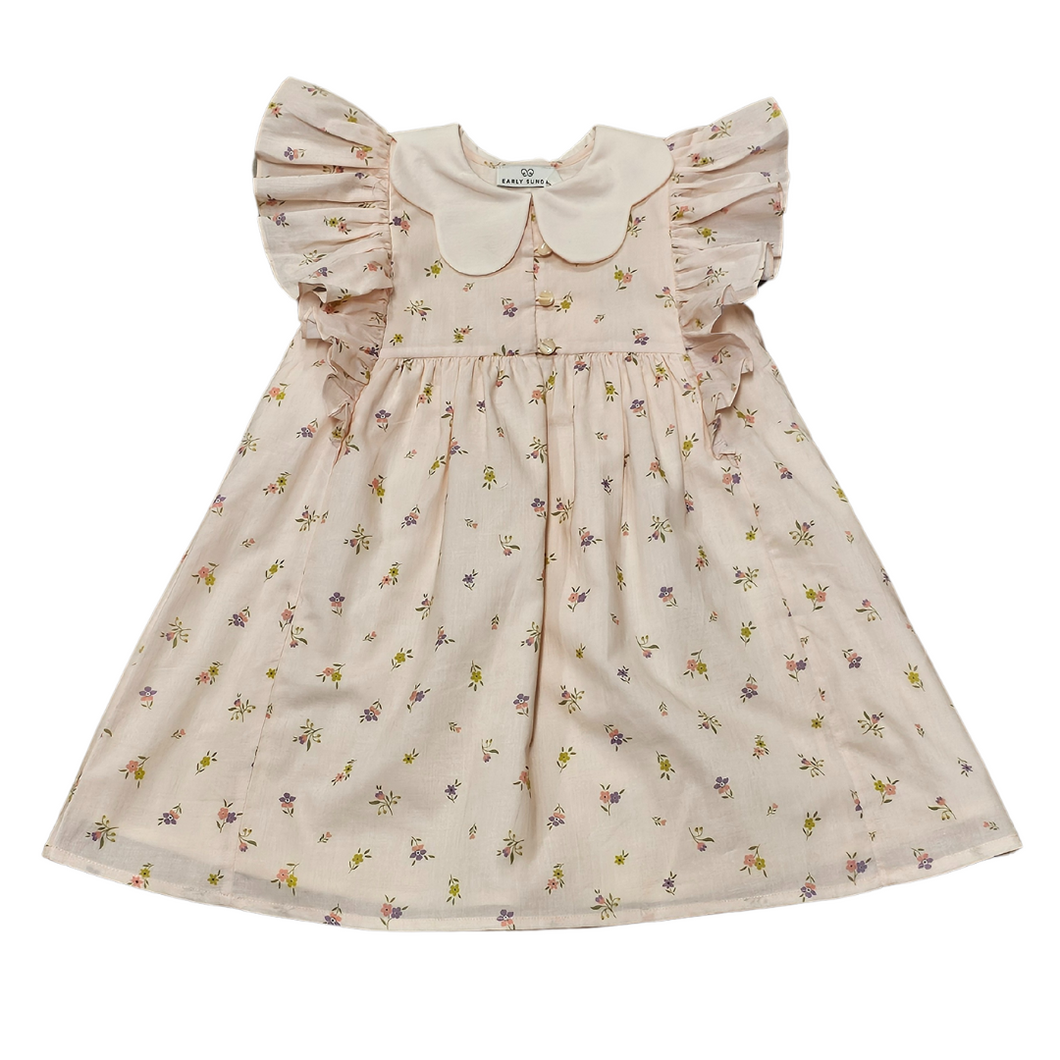 Clothilde Dress in Tiny Flower