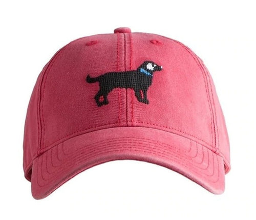 Black Lab on Weathered Red Cap