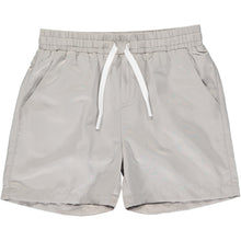 Grey Microstripe Surf Swim Shorts